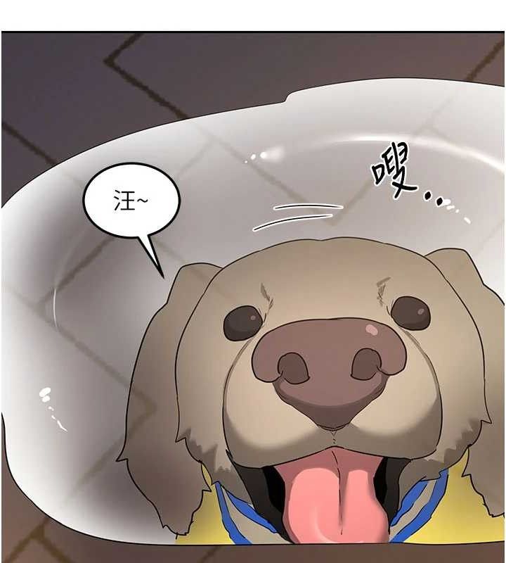 熟女交换计画第27話-汪汪!愛液自動吸收器