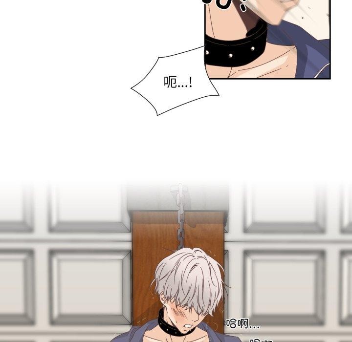 纯洁之罪第12話