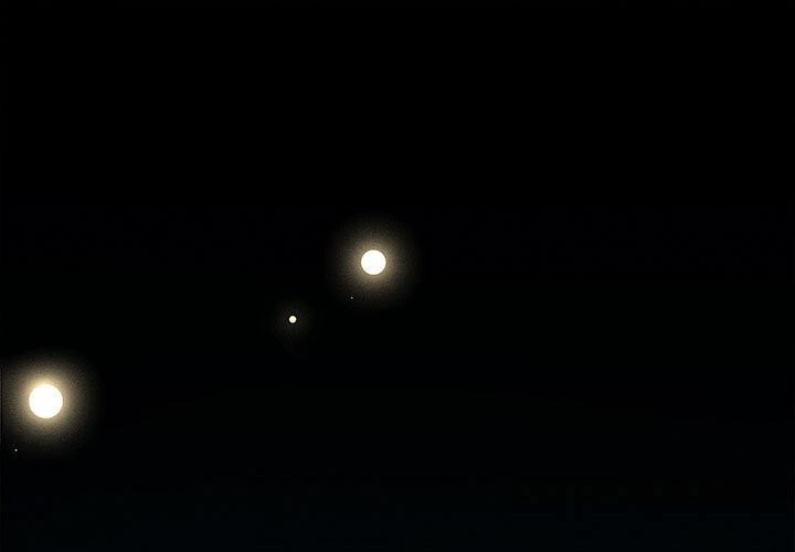 会长家的小儿子第29話