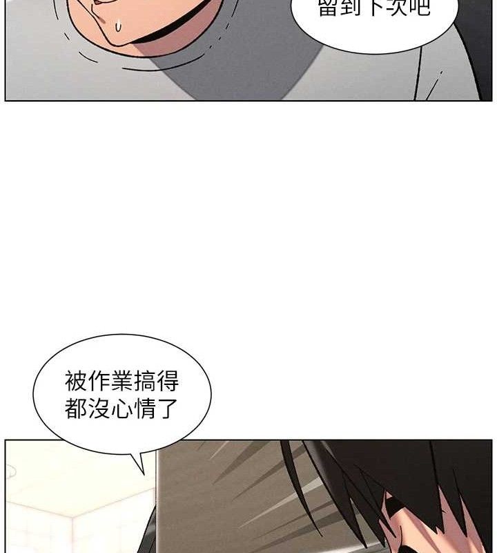 兄妹的秘密授课第73話-天降正妹新對手