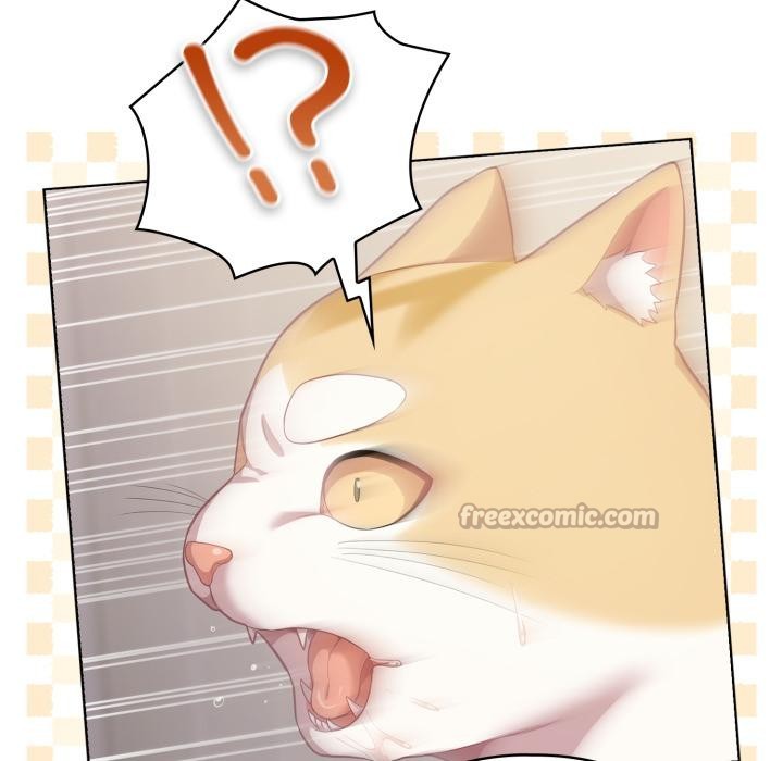 喵来的恋爱第33話