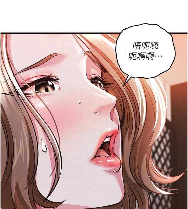 衣锦还乡第11話-訓練狗狗大小便