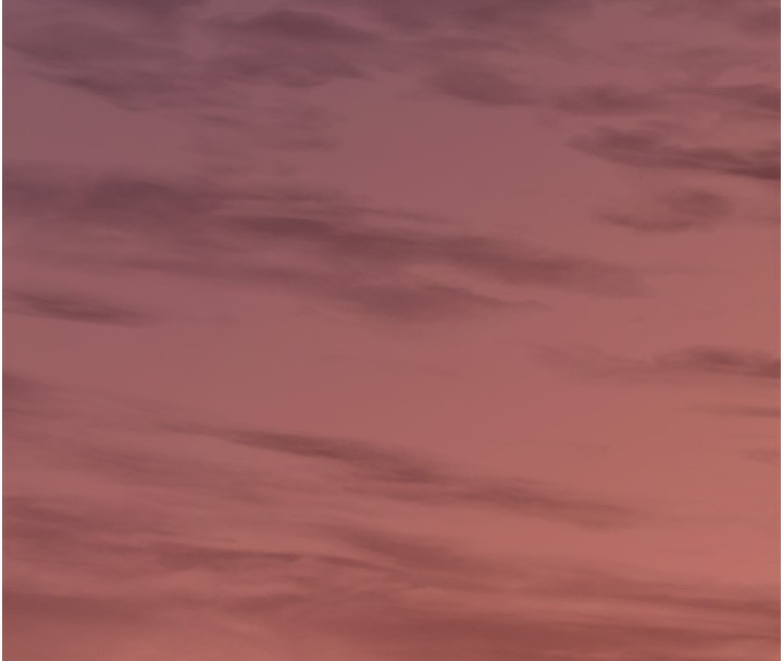 垃圾堆捡到宠物系萌妹第10話-上來和我一起睡