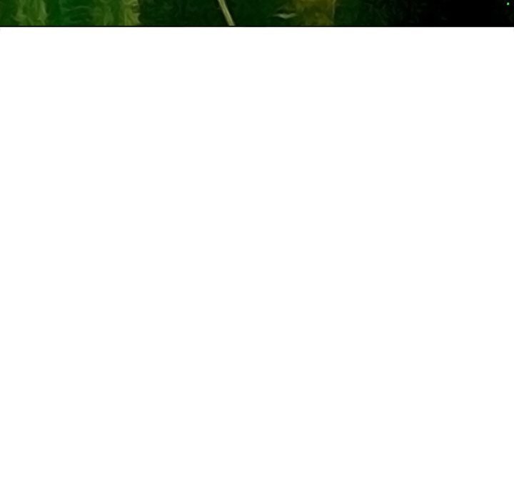 难缠小恶女第271話