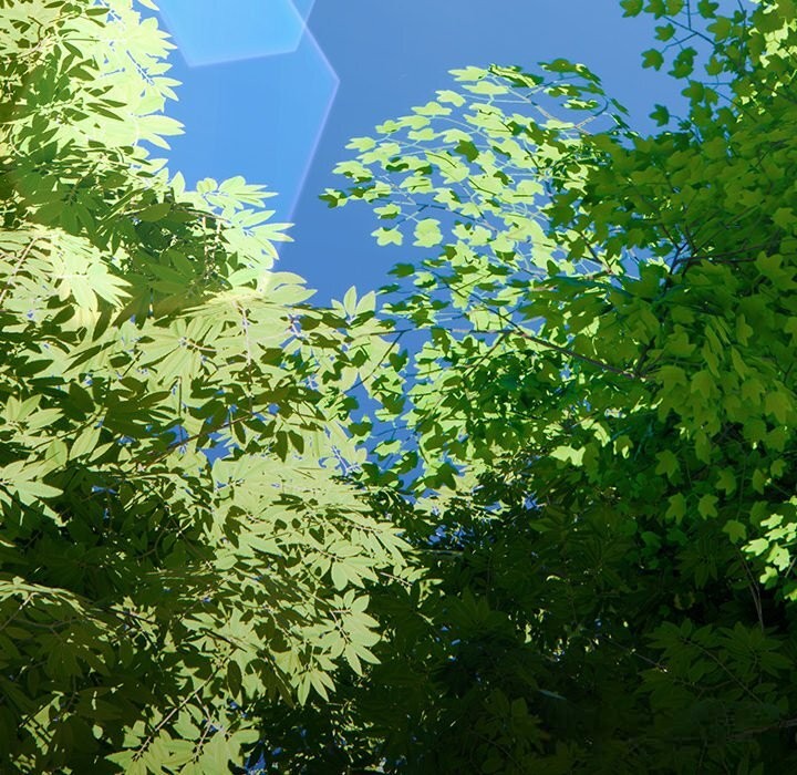 男人稀缺的异世界第1话