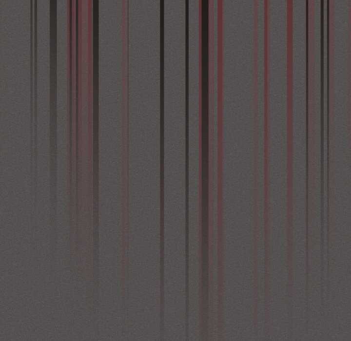 神圣陷阱第14話