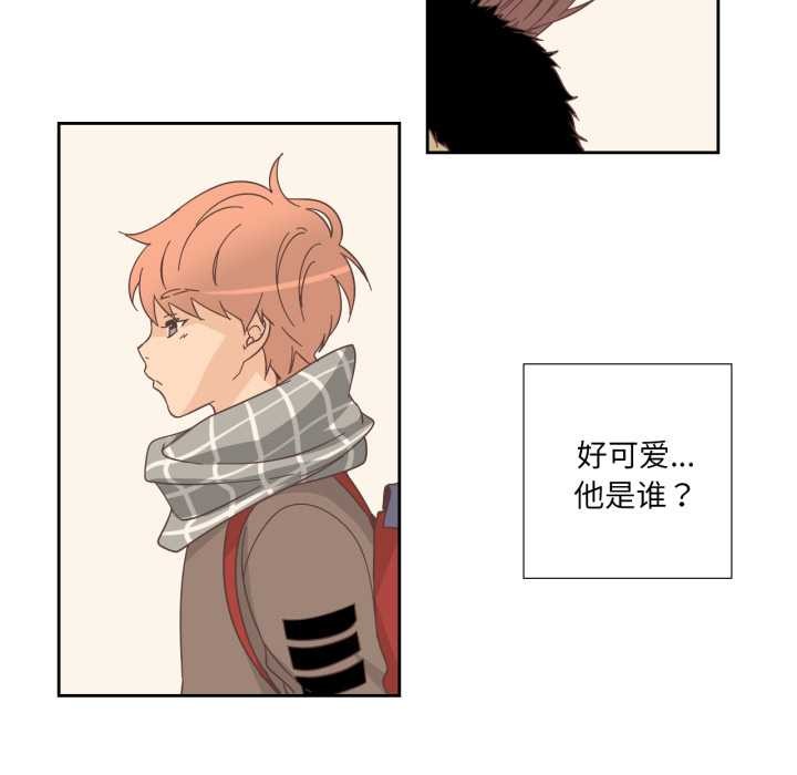 纯洁之罪第25話