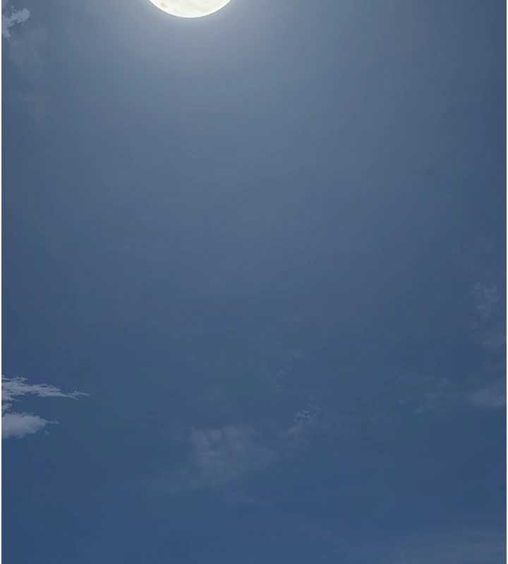 花容湿色:取花点第80話-秋香小姐是屬於我的