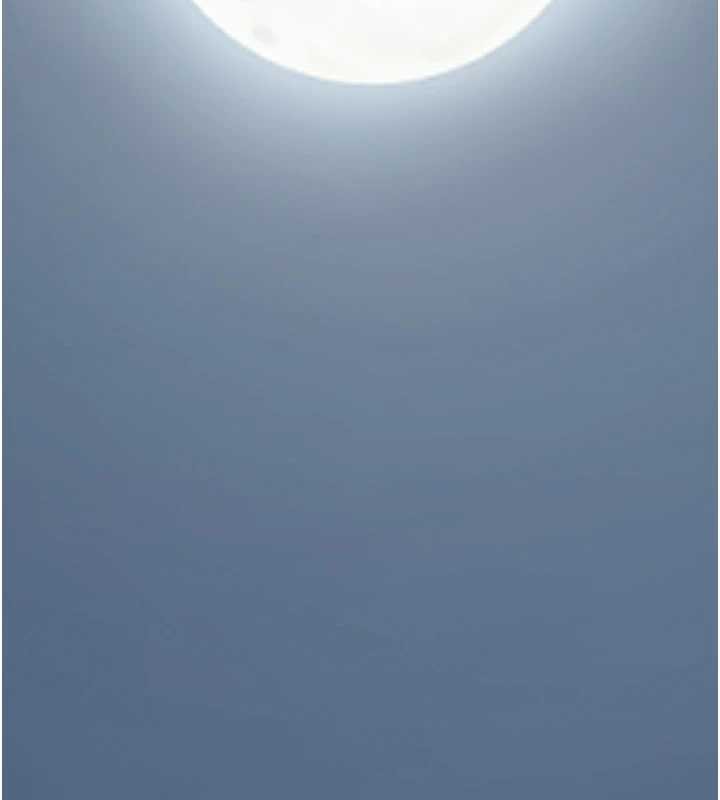 花容湿色:取花点第80話-秋香小姐是屬於我的