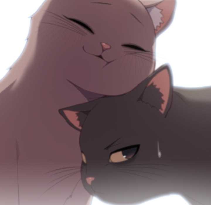 喵来的恋爱第46話