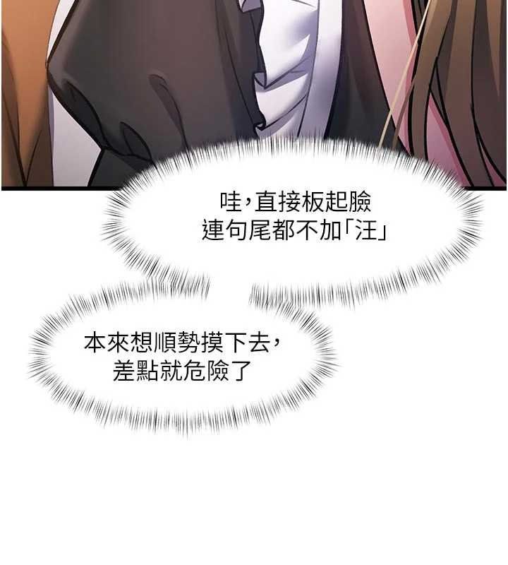 特色新視界第17話-馴服野貓守則