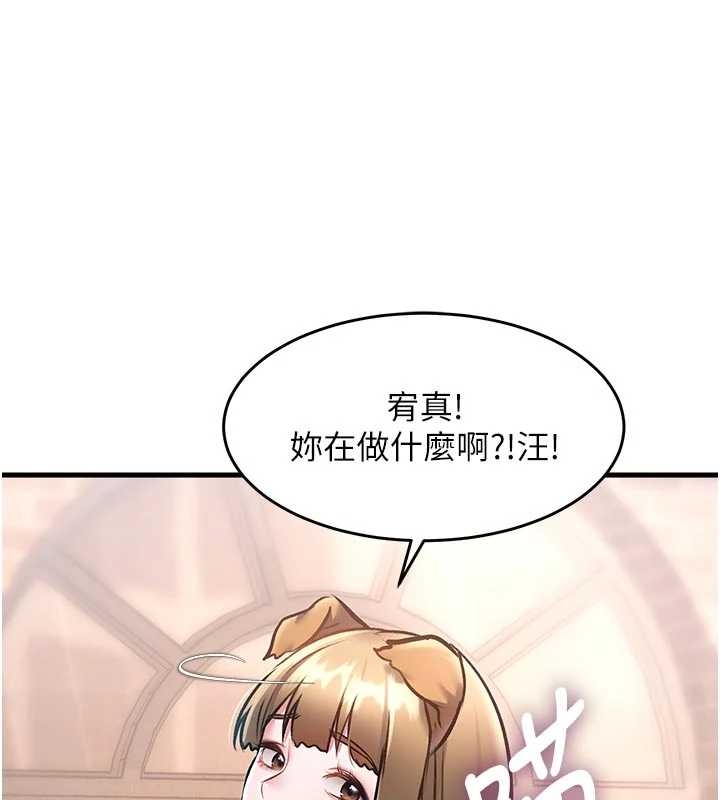 特色新视界第17話-馴服野貓守則