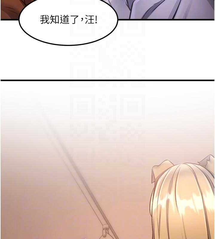 特色新視界第17話-馴服野貓守則