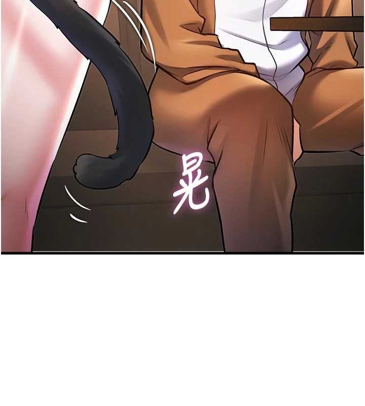 特色新视界第17話-馴服野貓守則