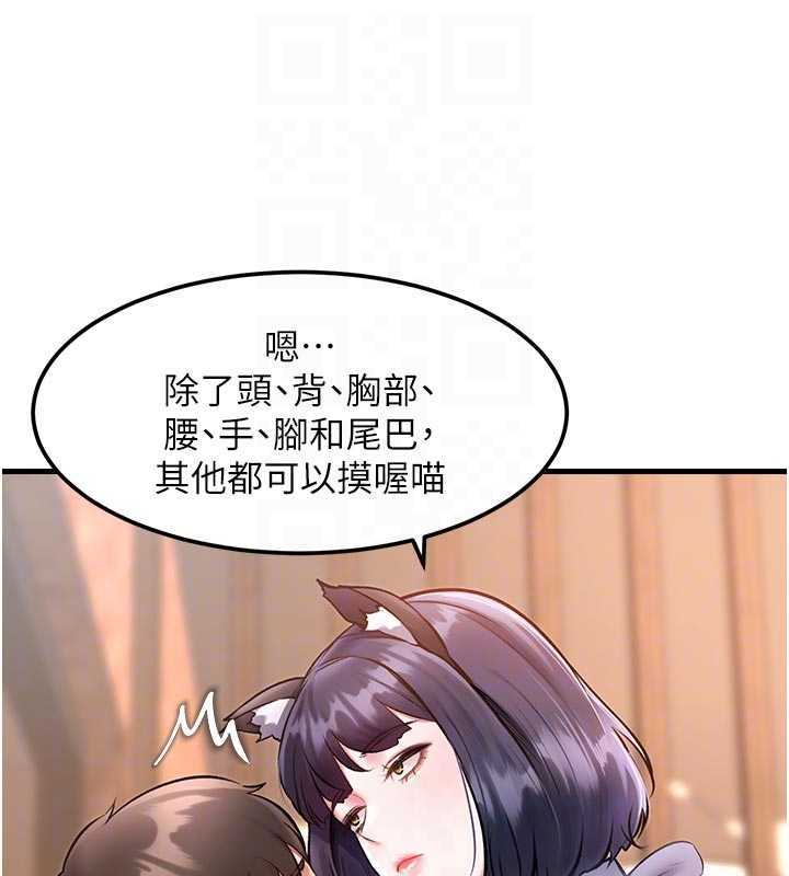 特色新视界第17話-馴服野貓守則