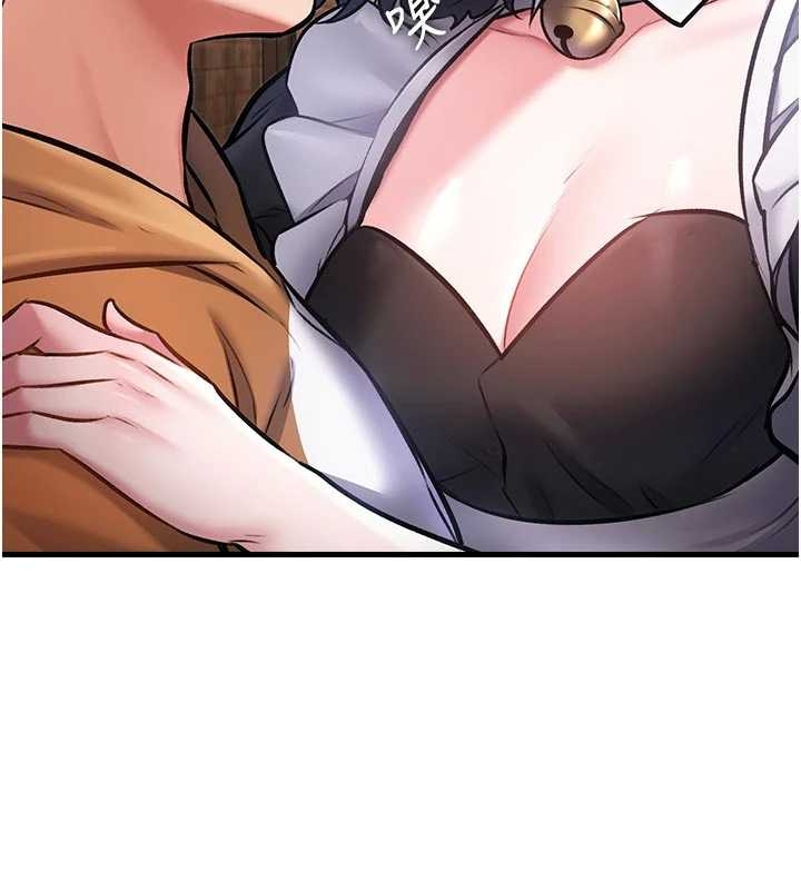 特色新视界第17話-馴服野貓守則