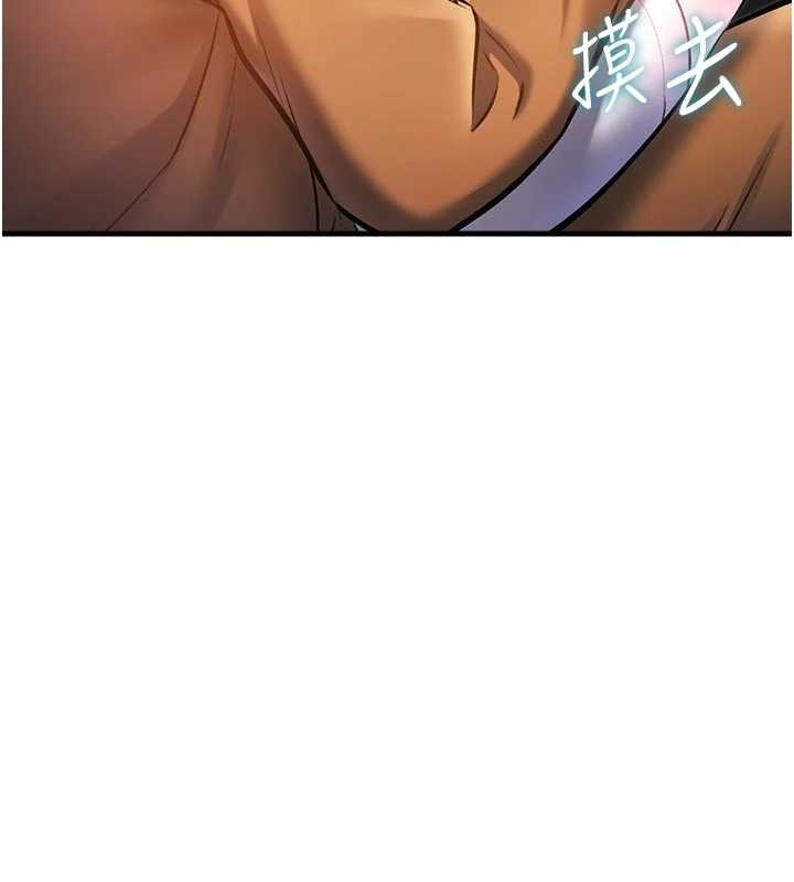 特色新視界第17話-馴服野貓守則