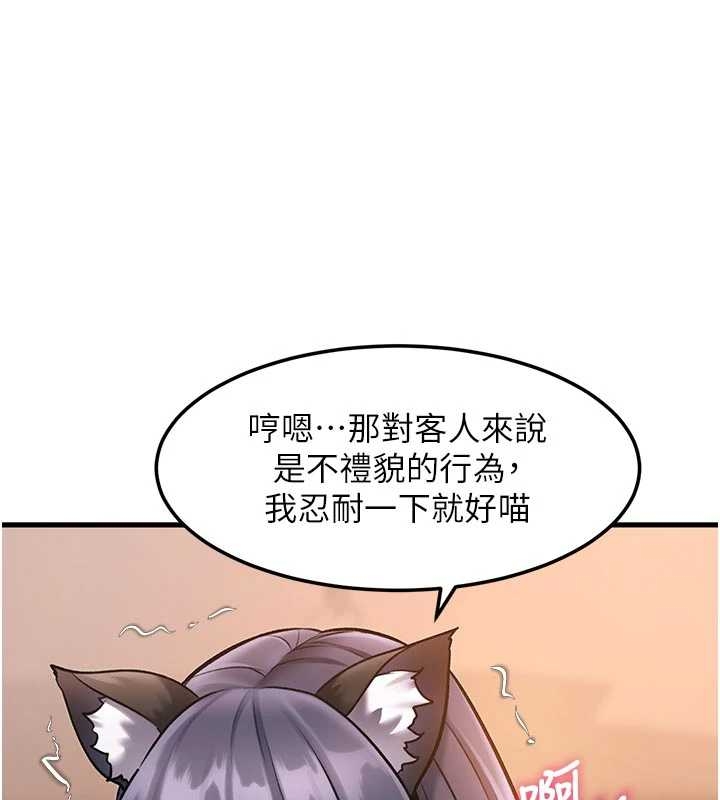 特色新视界第17話-馴服野貓守則