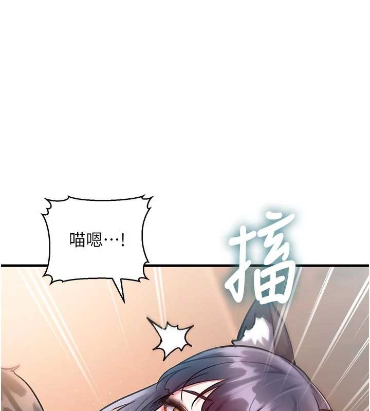 特色新視界第17話-馴服野貓守則