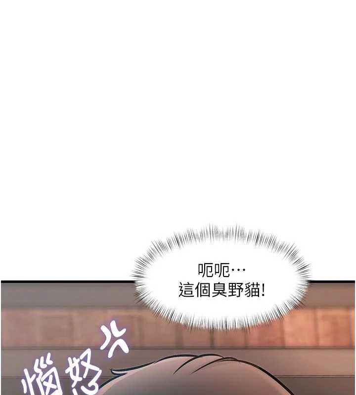 特色新視界第17話-馴服野貓守則