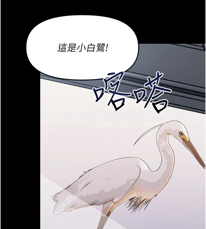 幼惑第1话-长不大的小飞侠