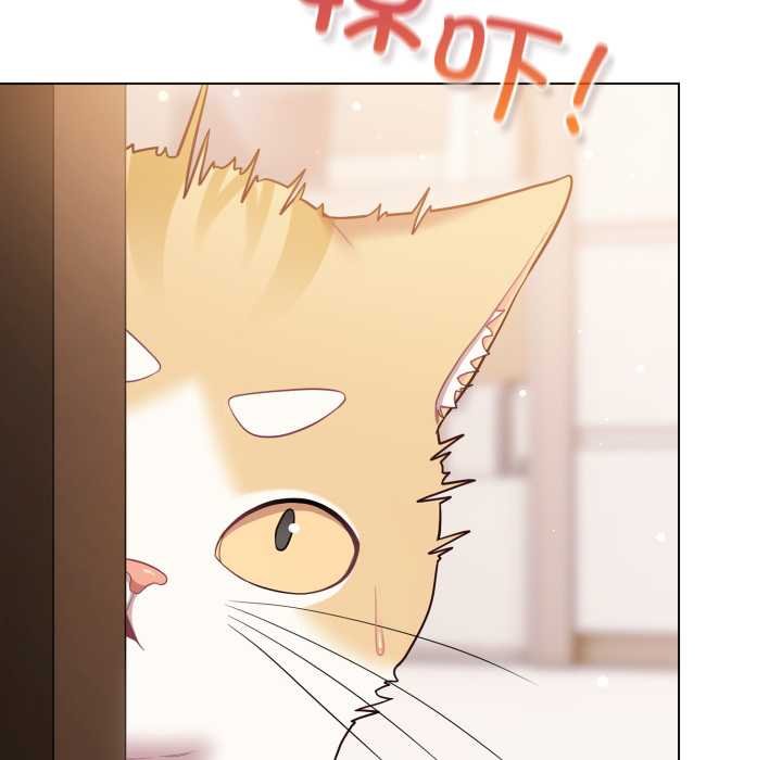 喵来的恋爱第47話