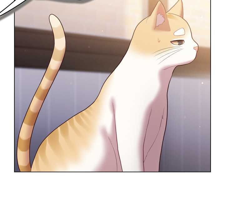 喵來的戀愛第49話