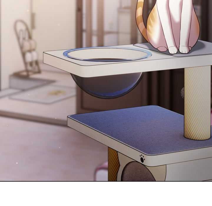 喵来的恋爱第49話