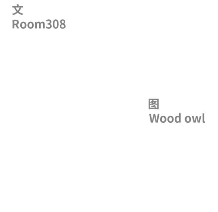 最强男人第55話