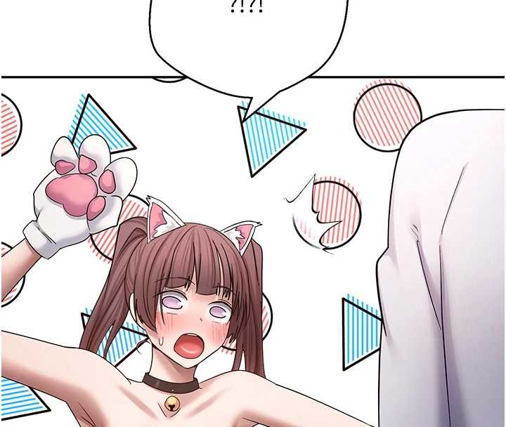 币转人生第54話-三隻淫亂的母貓