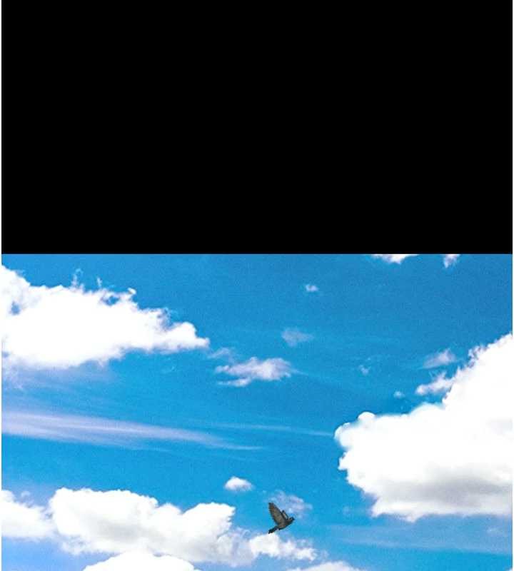 韶恩第84話-唯一對韶恩無感的男人