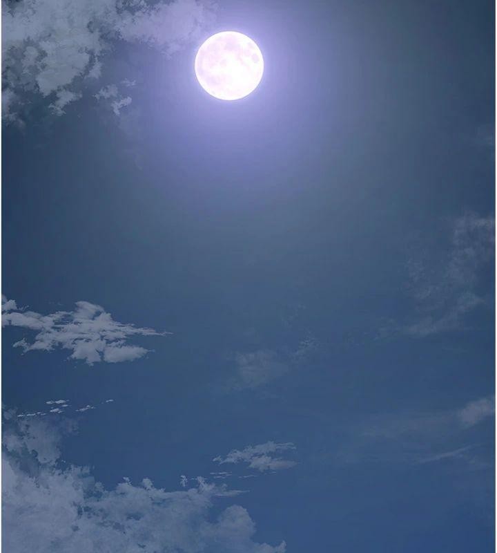 花容濕色:取花點第89話-妳愚弄我的代價