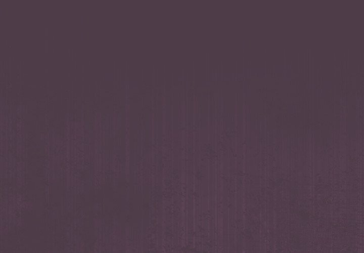 配角的生存任务第51話