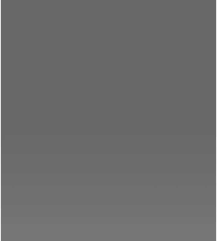 掠夺行动最終話-復仇的終點