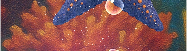 義父第3話-渴望自由的籠中鳥