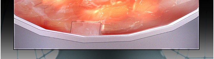 義父第3話-渴望自由的籠中鳥