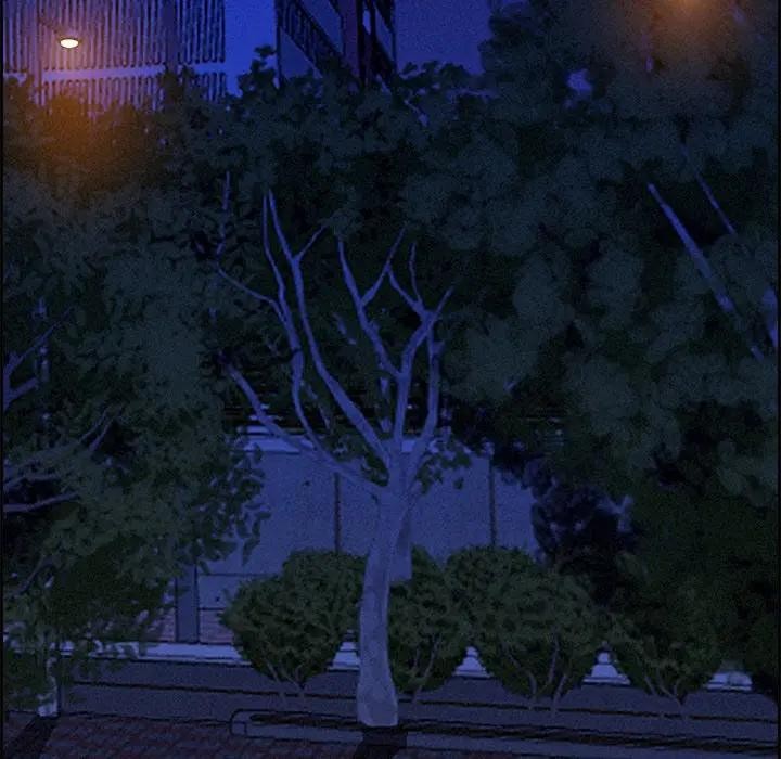 贵妇的专属保镳第12话