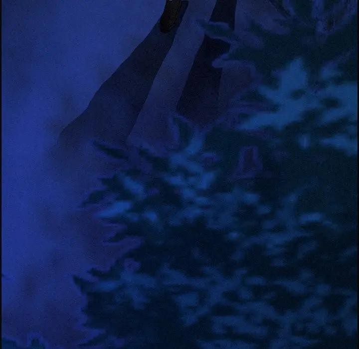 贵妇的专属保镳第12话