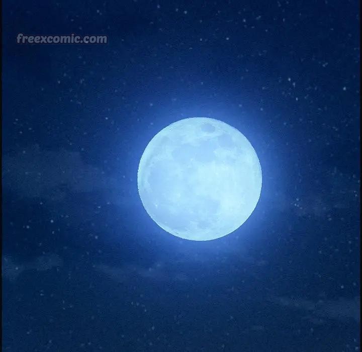 贵妇的专属保镳第15话