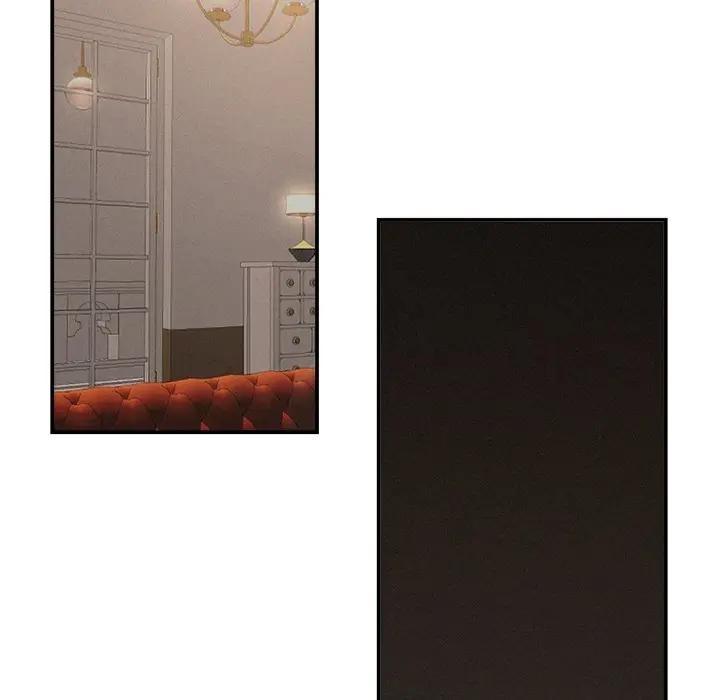 贵妇的专属保镳第38话