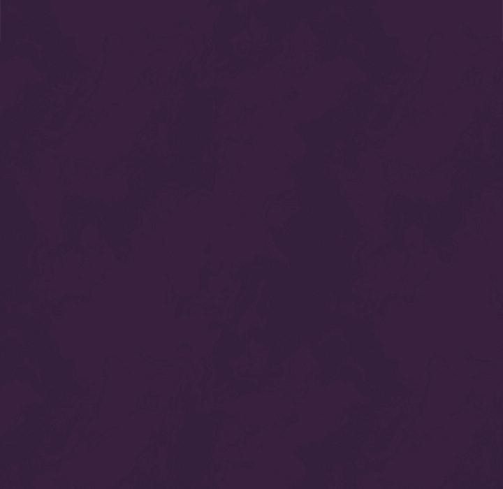 與眾不同的兄妹第39話