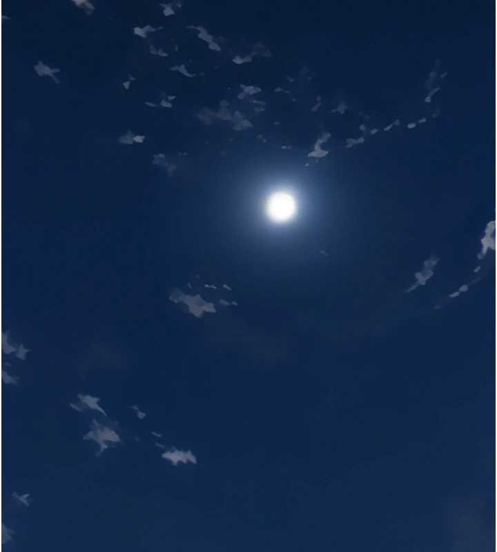 義父第12話-掏空計畫開始