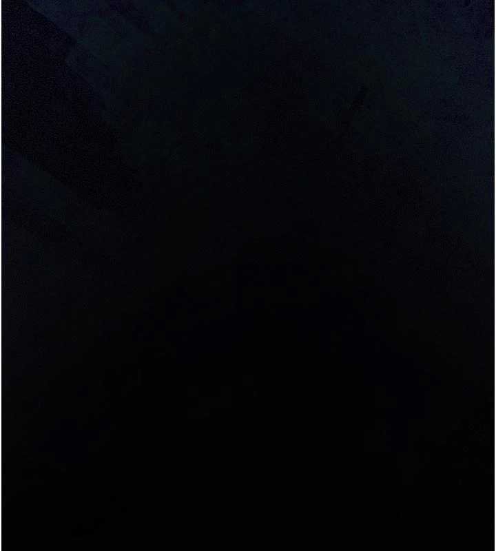 義父第12話-掏空計畫開始