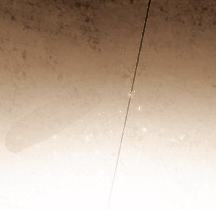 黑幫千金養成記第20話