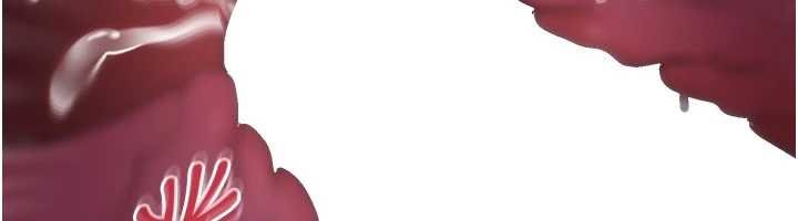 足球型男脫單指南第58話-我是老公的專用飛機杯