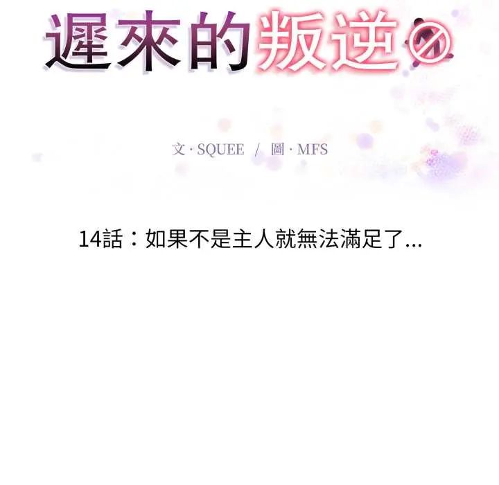 迟来的叛逆第14話