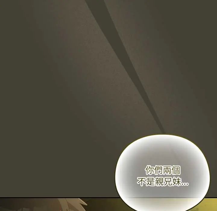 與眾不同的兄妹第58話